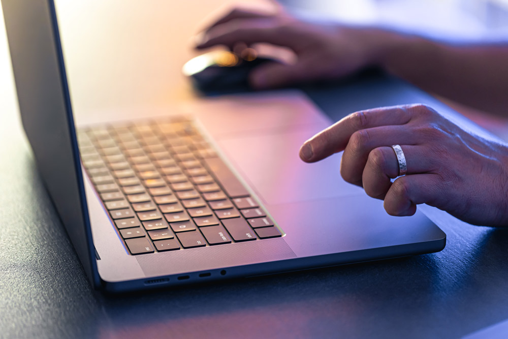 Rollo im Online-Shop kaufen 